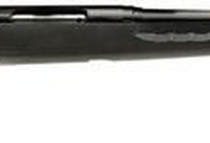 Savage Axis SR Bolt 223 Remington 20" Threaded Barrel, Black Synthetic Stock Black