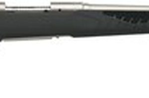 Savage 10/110 Storm 223 Remington/5.56 NATO, 22" Barrel, Stainless Steel,, , AccuFit Gray Stock, 4 rd