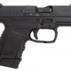 Walther PPS .40 S&W 6 Round, 2 Mags