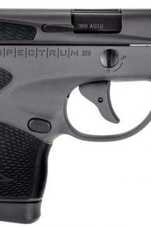 Buy Taurus Spectrum .380 ACP