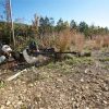 BARRETT Model 95 Bolt Action Repeating Rifle System .50 BMG 29", 5 Round With Accessories - Image 2