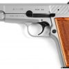 Tisas Regent BR9-S 9mm 4.6" Barrel Stainless Steel Finsh Hi-Power Clone 13rd Mag - Image 2