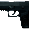 Sig P250 45 ACP Compact DAO