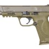 Smith & Wesson M&P9 M2.0 9mm, 5" Barrel, 3-Dot Sights, NTS, Flat Dark Earth, 17rd