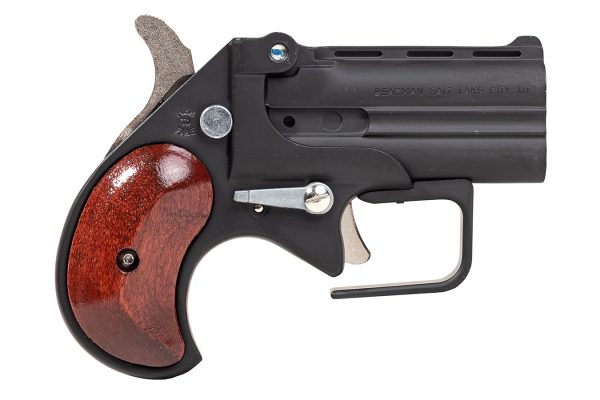 9mm Big Bore Derringer Guardian Package with Rosewood Grips