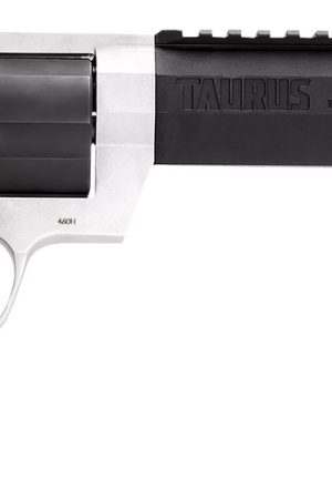 Buy Taurus Raging Hunter 460 S&W