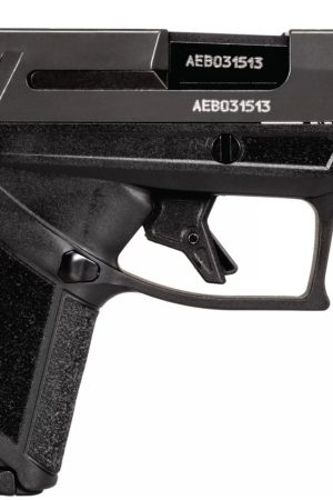 Buy Taurus GX4 9mm