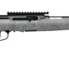 SAVAGE ARMS A22 TIMBERLITE THUMBHOLE