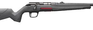 Winchester Xpert 17 WSM