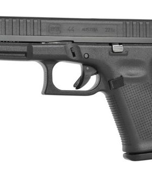 Glock RENTAL G44 22 LR