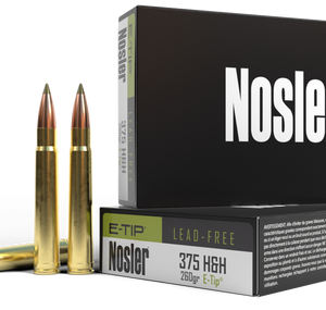 Nosler 375 Holland & Holland Magnum