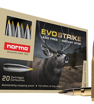 Norma Hunting Evostrike 30-06 Springfield