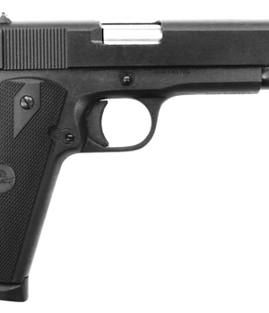 Rock Island GI Entry 45 ACP