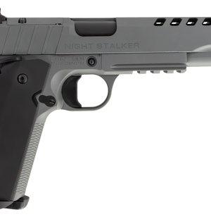 Tisas 1911 Night Stalker 10mm