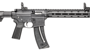 Smith & Wesson M&P 15-22 Sport 22 LR