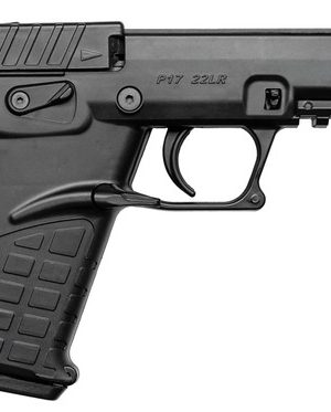 Kel-Tec P17 22 LR