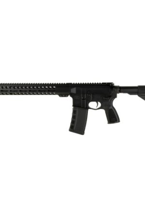 FN Guardian FN-15 223 Remington/5.56mm