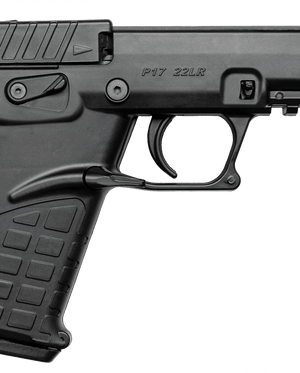 Kel-Tec P17 22 LR