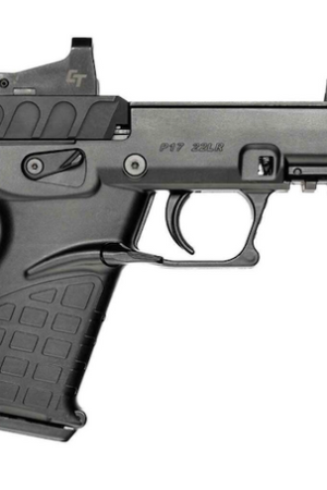 Kel-Tec P17 22 LR