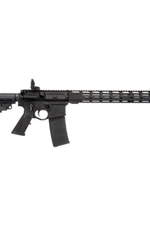 Raptor Defense RD-15 300 Blackout