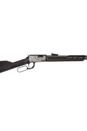 Rossi Gallery 22 LR