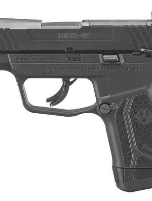 Ruger RENTAL MAX-9 9mm