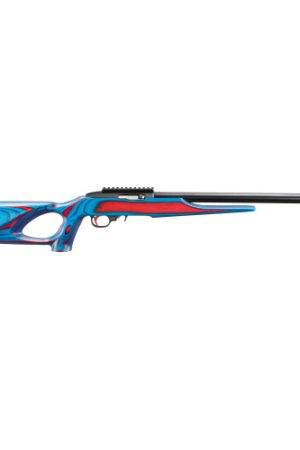 Ruger 10/22 USA Shooting 2024 22 LR