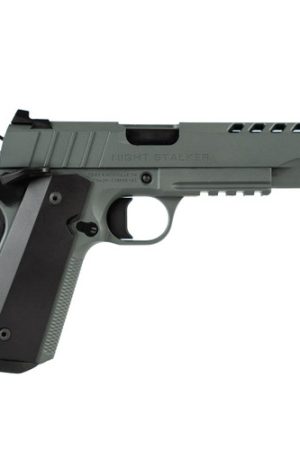 Tisas 1911 Night Stalker 9mm