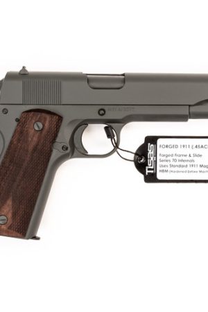 SDS 1911 Government 45 ACP