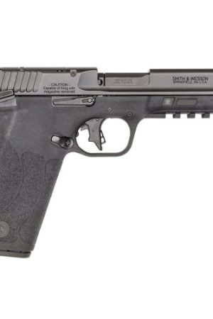 Smith & Wesson M&P 22 WMR