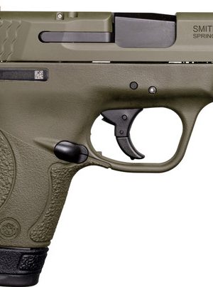 Smith & Wesson M&P Shield 9mm