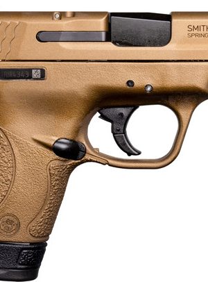 Smith & Wesson M&P Shield 9mm