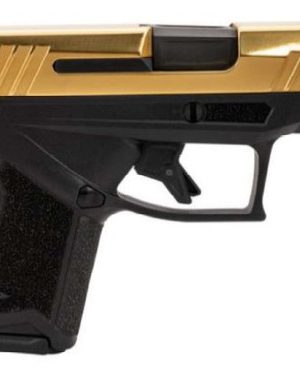 Taurus GX4 3.0 9mm