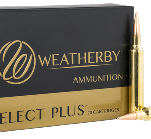 Weatherby 6.5-300 Weatherby Mag