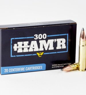 Wilson Combat 300 HAM'R